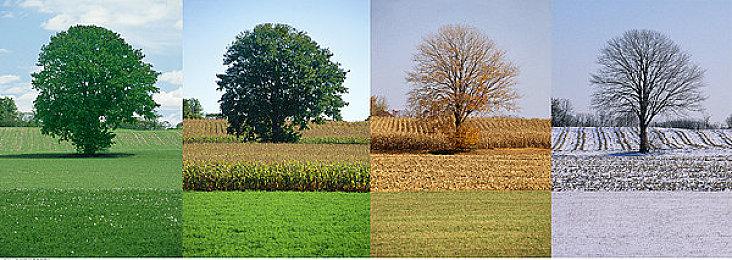 传闻：《堡垒之夜》将联动《死亡空间：重制版》