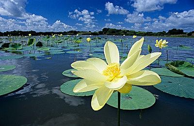 《杀戮空间3》新预告 好友组队共同对抗不死丧尸